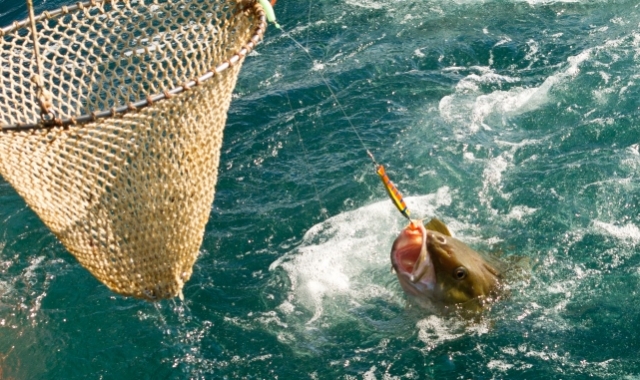nowe-uregulowania-rybo-wstwa-rekreacyjnego-gospodarka-morska