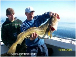  - GospodarkaMorska.pl