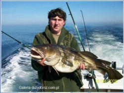  - GospodarkaMorska.pl