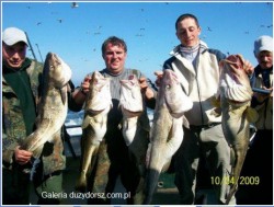  - GospodarkaMorska.pl