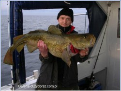  - GospodarkaMorska.pl