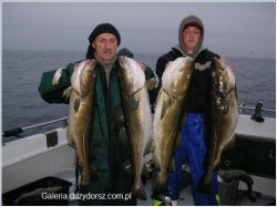  - GospodarkaMorska.pl