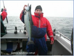  - GospodarkaMorska.pl