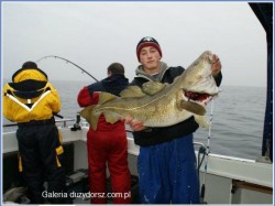  - GospodarkaMorska.pl