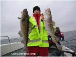  - GospodarkaMorska.pl