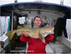  - GospodarkaMorska.pl