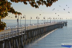  - GospodarkaMorska.pl