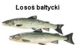  - GospodarkaMorska.pl