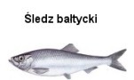  - GospodarkaMorska.pl