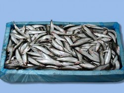  - GospodarkaMorska.pl