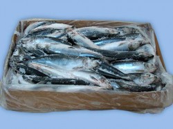  - GospodarkaMorska.pl