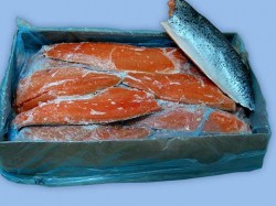  - GospodarkaMorska.pl