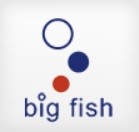 Big Fish Polska Sp. z o.o.