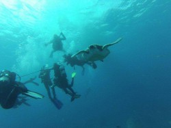  - GospodarkaMorska.pl