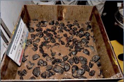  - GospodarkaMorska.pl