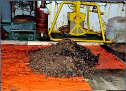  - GospodarkaMorska.pl