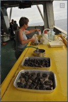  - GospodarkaMorska.pl