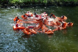  - GospodarkaMorska.pl