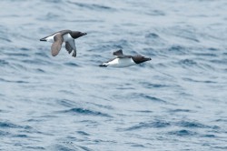  - GospodarkaMorska.pl