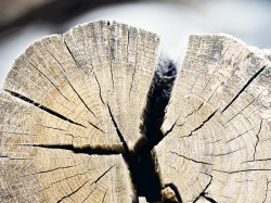  - GospodarkaMorska.pl