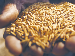  - GospodarkaMorska.pl