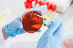  - GospodarkaMorska.pl