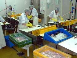  - GospodarkaMorska.pl