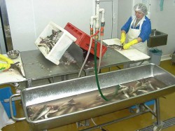  - GospodarkaMorska.pl