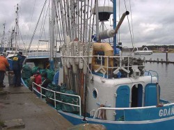  - GospodarkaMorska.pl