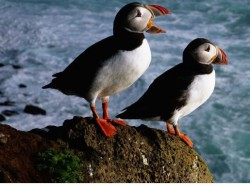  - GospodarkaMorska.pl