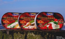  - GospodarkaMorska.pl