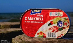  - GospodarkaMorska.pl