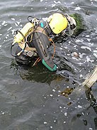  - GospodarkaMorska.pl