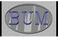 BUM Wyroby Techniczne z Gumy