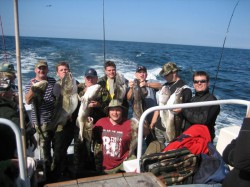  - GospodarkaMorska.pl