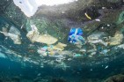 Mniej wyrzucanych nakrętek to mniej plastiku w morzu. Badanie w Szwecji pokazuje rezultaty
