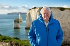 Współpracownik o Davidzie Attenborough: ma fenomenalny instynkt telewizyjny