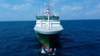 Statek Greenpeace rozpoczyna misję badawczą w Arktyce
