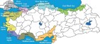 Tureckie porty obsługują do 90% handlu zagranicznego [ANALIZA]