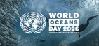 Światowy Dzień Oceanów – IMO wzmacnia ochronę środowiska morskiego