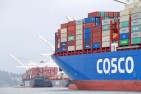 COSCO wzmacnia obecność w polskich portach. Nowe połączenie feederowe w Gdyni
