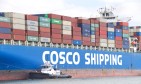 COSCO uruchamia drugi bezpośredni serwis z Dalekiego Wschodu do Gdańska. Pierwsze zawinięcie w sierpniu
