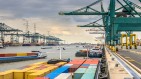 Groźny wyciek z kontenera w Antwerpii. 155 osób w szpitalu, masowa ewakuacja