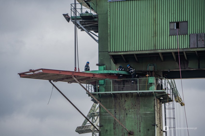 karstensen łożysko żurawia