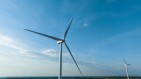 Polenergia z 155,4 mln zł skorygowanego zysku EBITDA w I kw. 2026