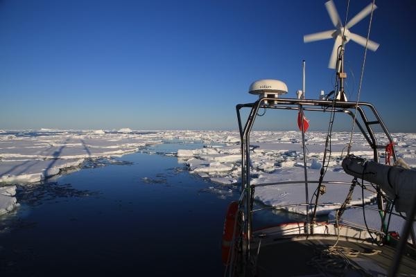 Zatoka Wielorybów - dalej dopłynąć się nie da - GospodarkaMorska.pl