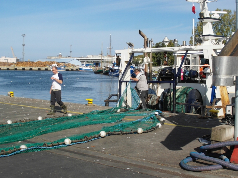 NEF przygotowało nowy model ekonomiczny. Ma on zwiększyć zyski z rybołówstwa - GospodarkaMorska.pl