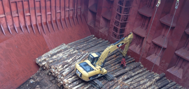 Kolejne ofiary niedotlenienia w ładowniach statków - konieczne zmiany w przepisach - GospodarkaMorska.pl