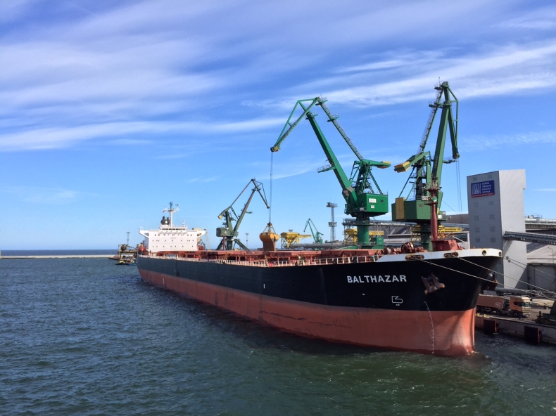 Polskie porty przeładowują więcej zboża. Skąd taki trend? - GospodarkaMorska.pl