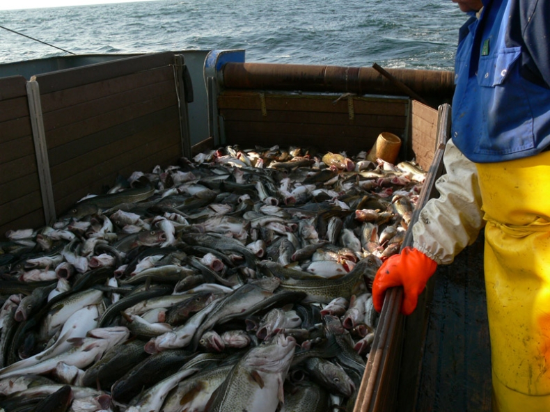 Na ratunek oceanom! - GospodarkaMorska.pl